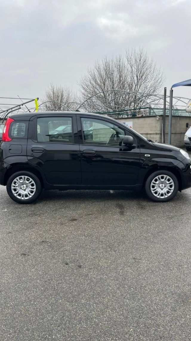 23129725_E_6943bfacb3019 23129725_E_6943bfacb3019