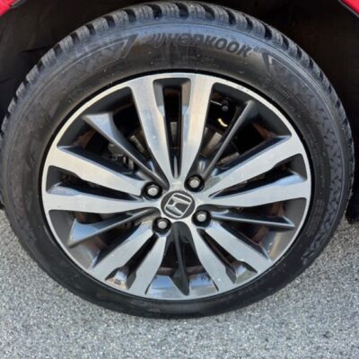 23456429_E_69b91ca1ac954